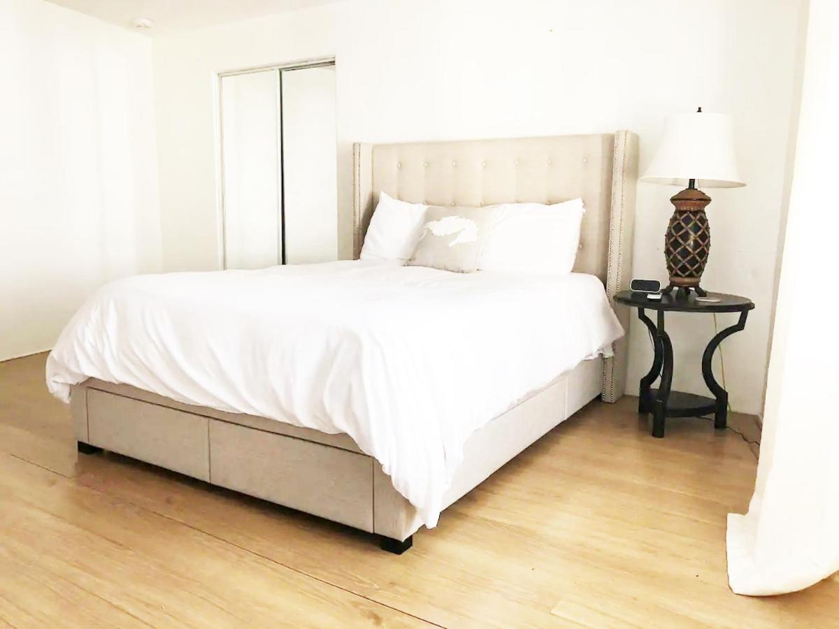 Burns Court Apartment 萨拉索塔 外观 照片