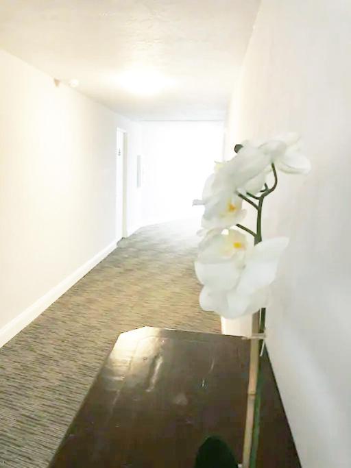 Burns Court Apartment 萨拉索塔 外观 照片
