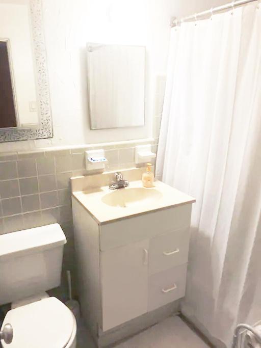 Burns Court Apartment 萨拉索塔 外观 照片