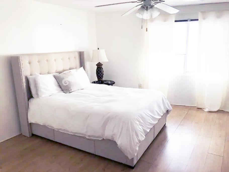 Burns Court Apartment 萨拉索塔 外观 照片